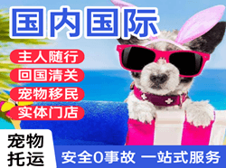 海北祁连机场货运国际宠物托运 【国
